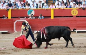 Galdós templando al tercer toro de la tarde, que se paró muy pronto.