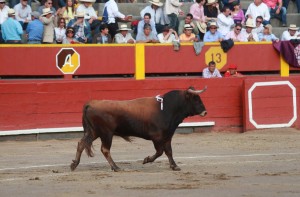 El cuarto, un buen toro no debidamente aprovechado.