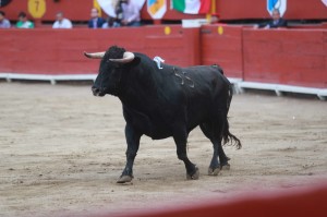 La pobreza de cara del quinto.