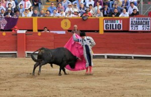 Gilio lanceando en una caleserina.