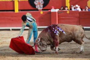 TOROS 111118_CHIPANA067