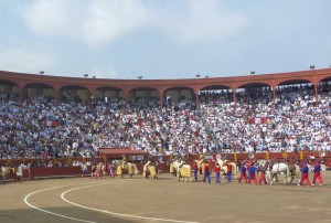 FOTO: PABLO JAVIER GÓMEZ DEBARBIERI Espectáculo imponente: Acho copada hasta la bandera.