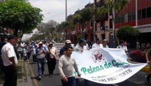 FOTO: YASMÍN ROSAS – EL COMERCIO Galleros y taurinos marcharán, este miércoles 9, ante el TC.