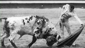FOTO: CULTORO Antonio Chenel 'Antoñete', el torero de los huesos frágiles por su desnutrición durante su infancia, con 'Atrevido', el "toro blanco" de Osborne, en Madrid.