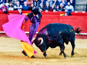 FOTOS: CULTORO Roca Rey remata el quite al tercer toro con una larga; la ovación presagiaba el entusiasmo que causaría en los valencianos su triunfo aquel día. 