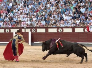 FOTO: CULTORO Roca Rey lidiará los saltillos de Adolfo Martín en Madrid.