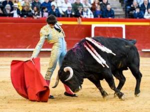 Soberbio derechazo de Castella a Horroroso de Jandilla.