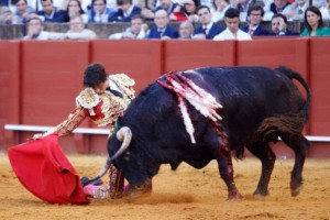 FOTOS: EMPRESA PAGÉS Andrés Roca Rey conquistó la Maestranza el viernes 3; inició su faena triunfal al sexto toro con vibrantes derechazos en redondo, de rodillas.