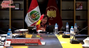 FOTO: Captura de pantalla La presidenta del Tribunal Constitucional, mostrando histriónicamente un par de banderillas durante la sesión del pleno del TC el 25 de febrero