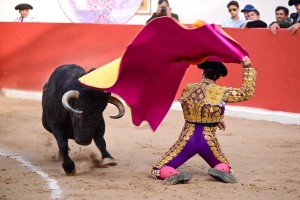 Emilio Serna en una larga cambiada afarolada al segundo de la tarde FOTO: Luis Herencia