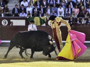 FOTO: PLaza1 Andrés Roca Rey en Las ventas de Madrid, el pasado 12 de octubre