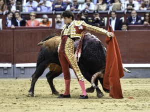 FOTO: Plaza1 Un arrollador Andrés conquistó, una vez más, a los madrileños.