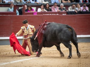 Luego lo toreó de ordillas en redondo.