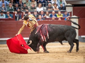 Dominó al complicado toro de Fuente Ymbro con su poderosa muleta, bajando la mano y rematando por debajo de la pala del pitón.