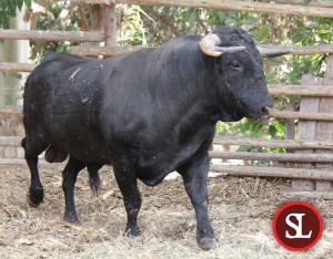 San Lorenzo