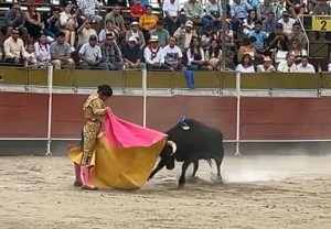 02 Alejandro Salazar veronica