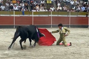 05 Enrique Diaz de rodillas