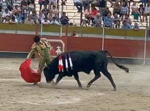 07 Enrique Diaz derechazo