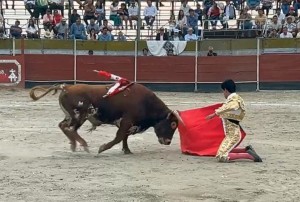 09 Jose Antonio Guerra de rodillas