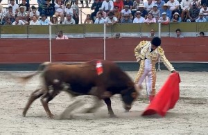 11 Jose Antonio Guerra natural