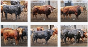 FOTOS: LANCES DE FUTURO 