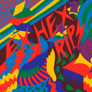 26. Ex Hex – Rips