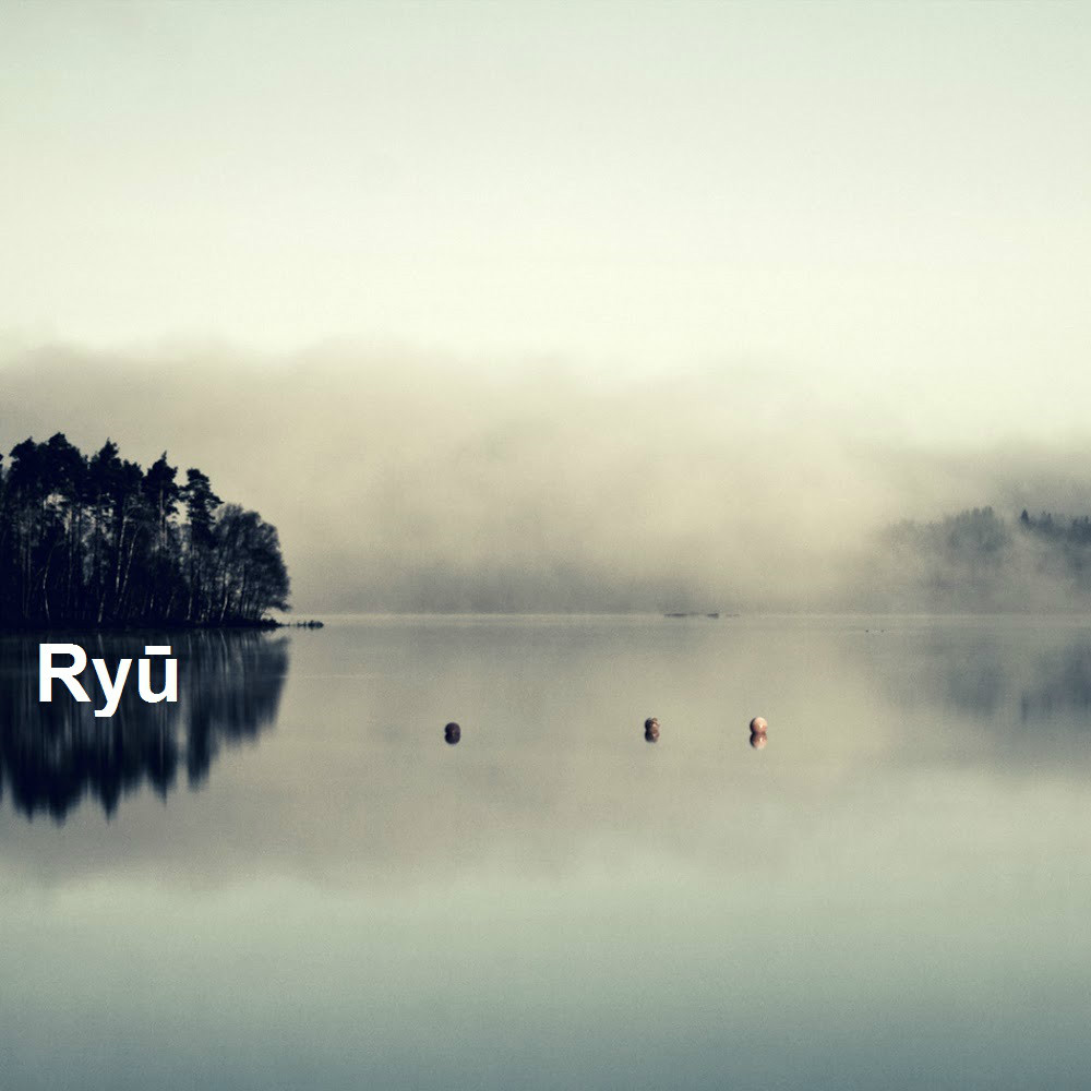 ryu-transition2