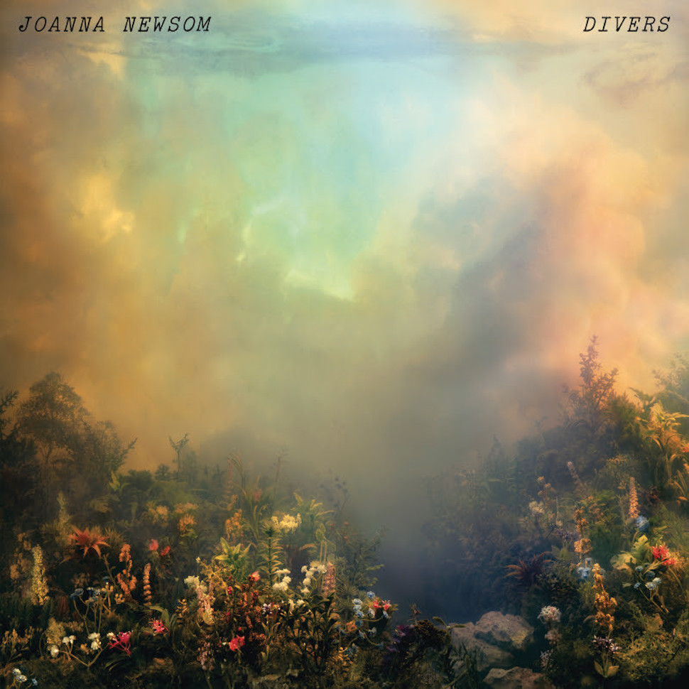 joannanewsom-divers