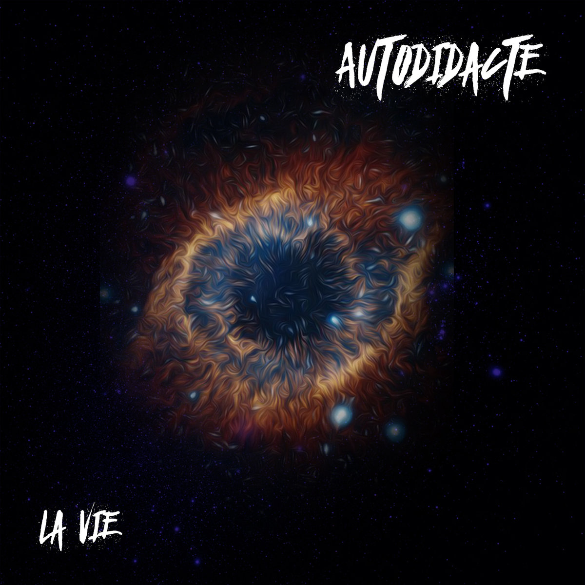 lavie-autodidacte