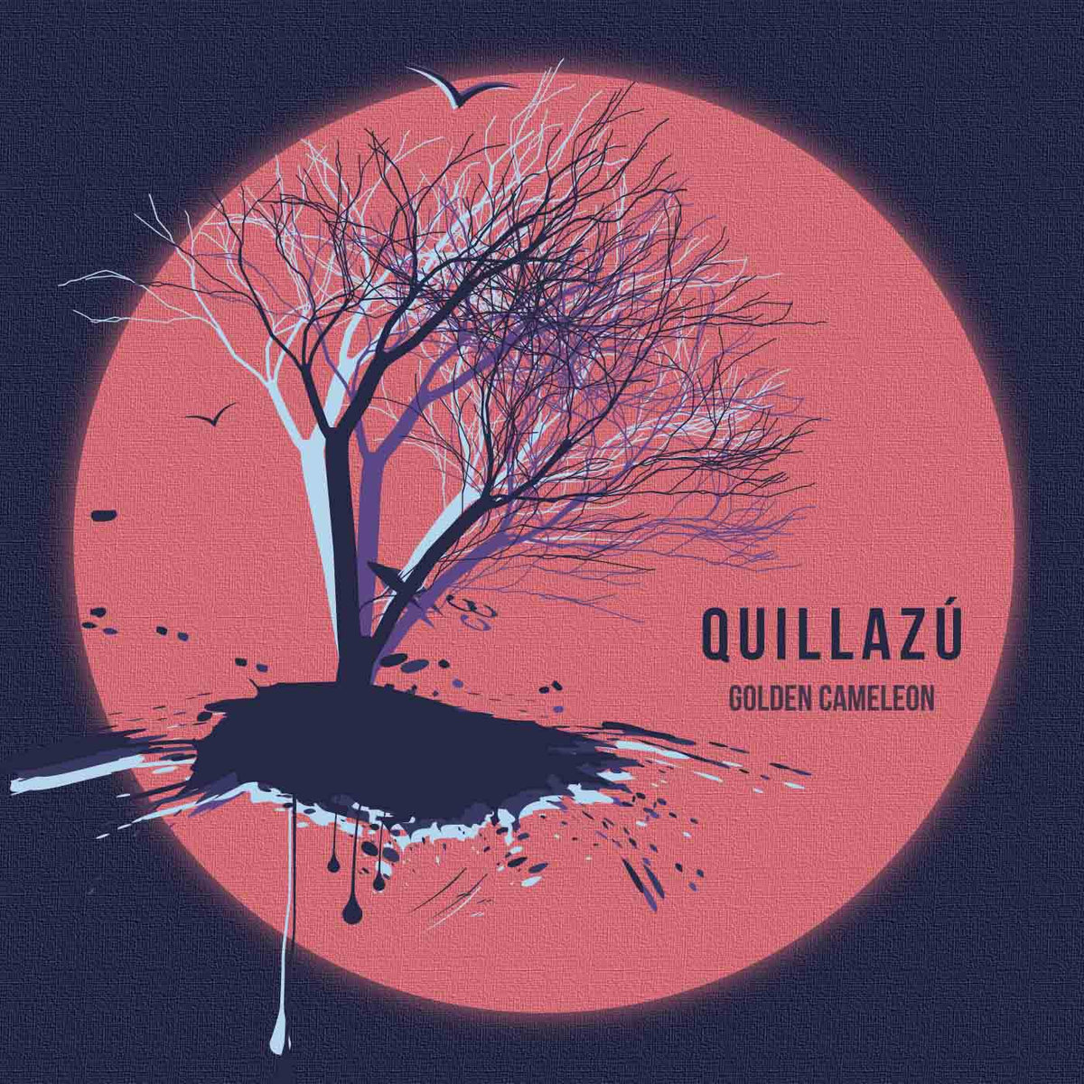 goldencameleon-quillazu
